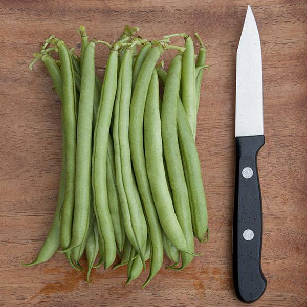 Maxibel Haricot Vert